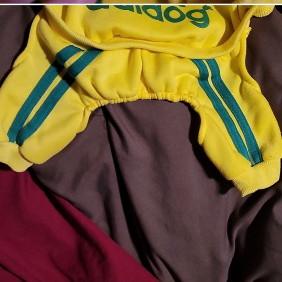 Dog Yellow Green Stripes Jumper - Picture 3 of 6